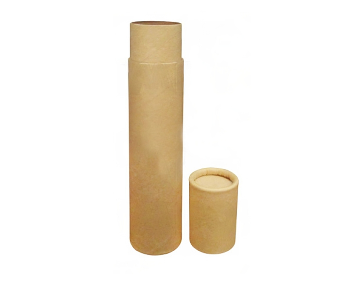 Estuche para Colores de Carton Vacio